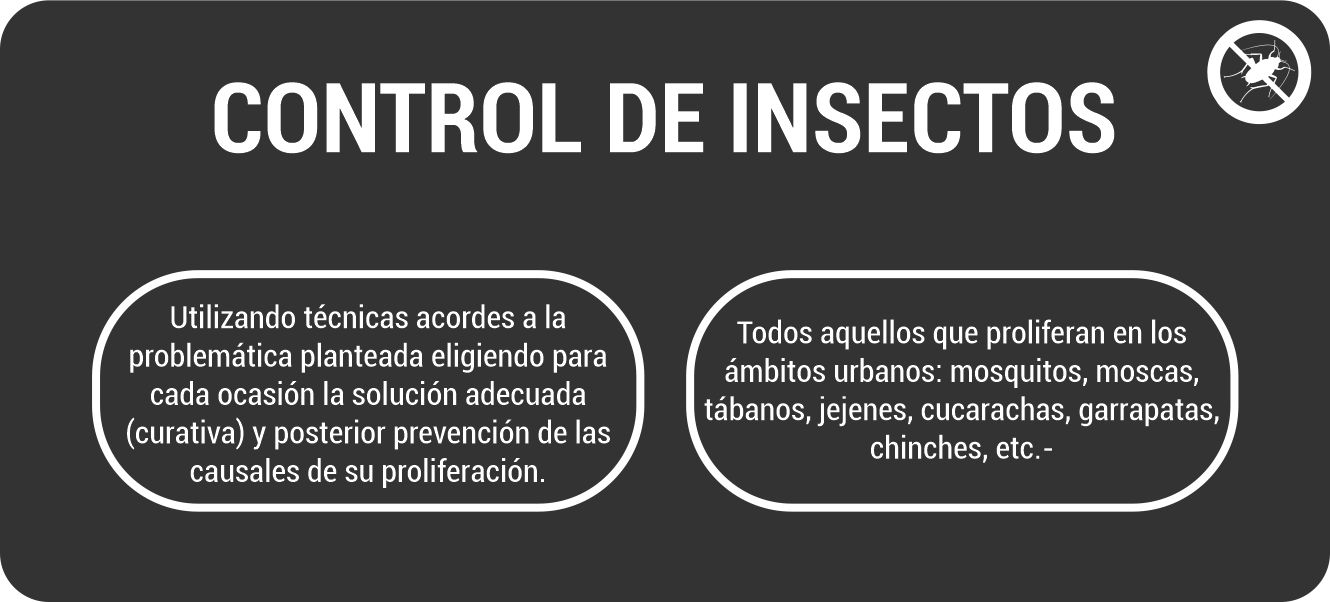img-insectos